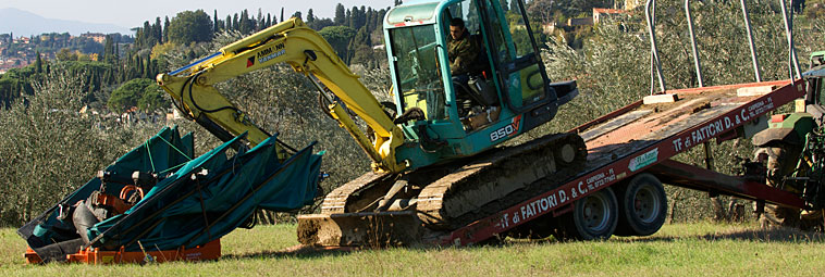 raccolta delle olive macchinari 5